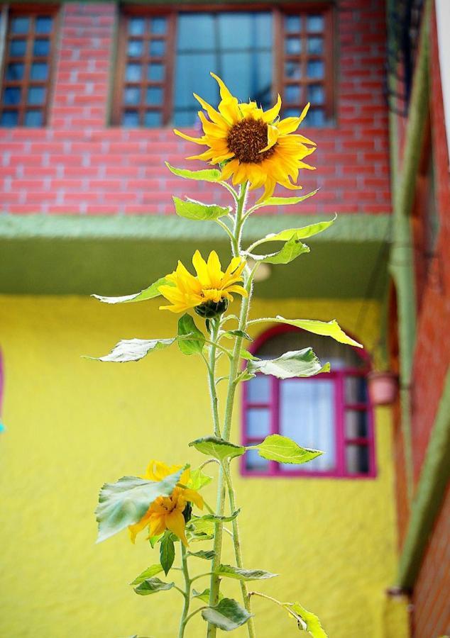 Hostal Inti Raymi Backpackers Баньос Экстерьер фото